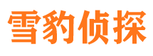 石峰侦探